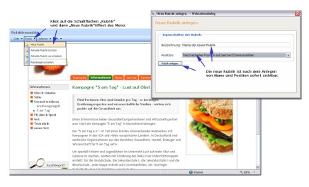 Screenshot Content Management mit Cabacos CMS - Neue Rubrik