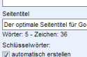 Seitentitel pflegen inkl. Zeichen und Wörterzähler